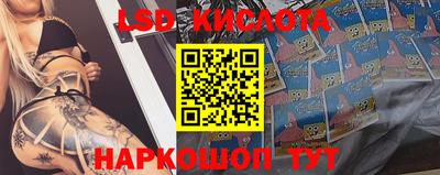 дмт Ставрополь