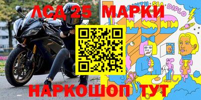 дмт Ставрополь