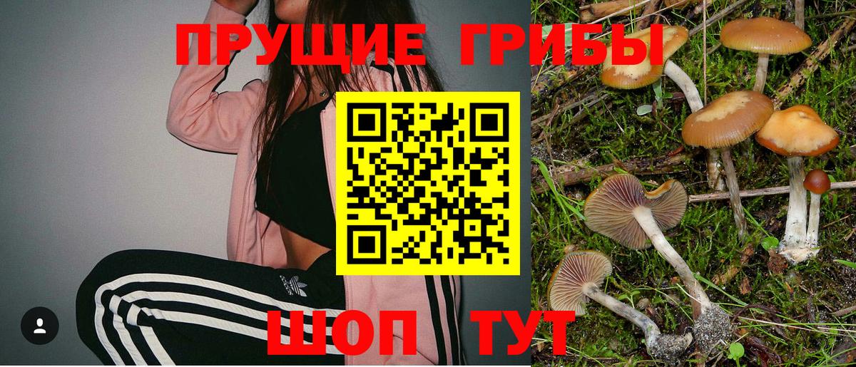 Галлюциногенные грибы GOLDEN TEACHER  Псилоцибиновые грибы Cubensis  Вход с VPN  Орёл 